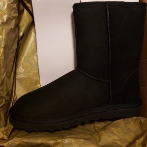 Classic Short Black Uggs
